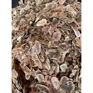 ฝักมะขามแขกเกรดสวย ฝักมะขามแขกคัดพร้อมใช้ได้ทันที บรรจุ1โลราคา110บาท