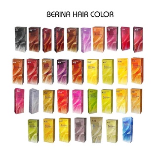 Berina hair color cream ครีมย้อนผม ยาย้อมผม เบอริน่า มีครบทุกเฉดสี