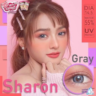 Kitty kawaii Sharon gray (dia 14.5 ) size L