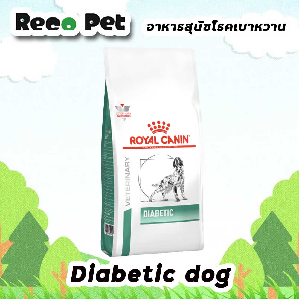 ROYAL CANIN vet DOG DIABETIC 12 kg อาหารสุนัขโรคเบาหวาน
