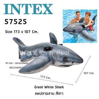 Intex 57525 Great White Shark แพปลาฉลาม สีเทา