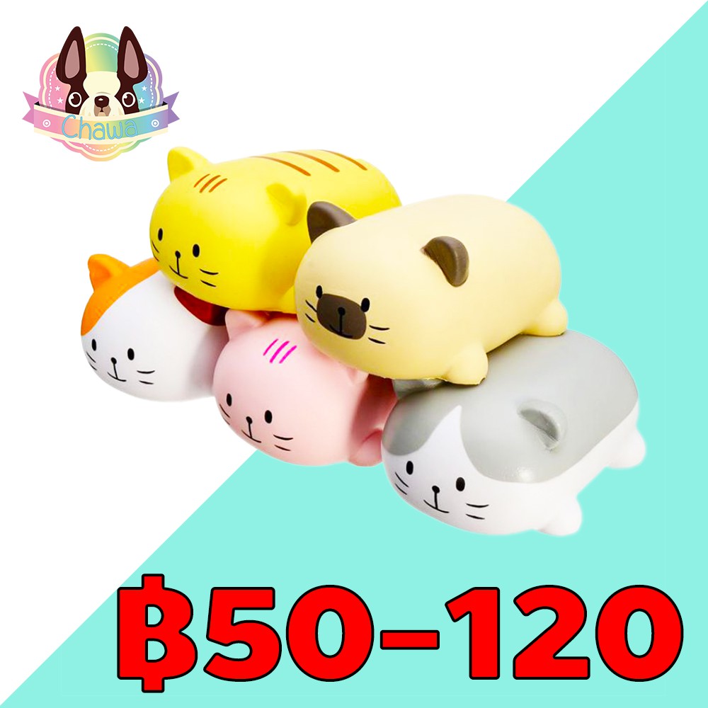 อ่านก่อนสั่งซื้อ📌 สกุชชี่แมวแองจี้ ของแท้ 💯 ใกล้หมดแล้วนะคะ ไม่มีผลิตเพิ่มหมดแล้วหมดเลยจ้า