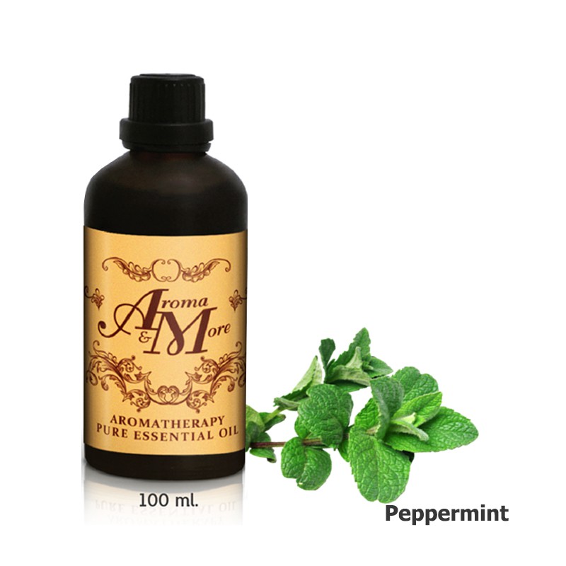 Aroma&More Peppermint Essential Oil 100% / น้ำมันหอมระเหยสะระแหน่ (เปปเปอร์มินต์) India 100ML