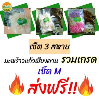 🔥ส่งฟรี🔥เซ็ต 3 สหาย เซ็ต M มะพร้าวแก้วเชียงคาน รวมเกรด พร้อมส่ง