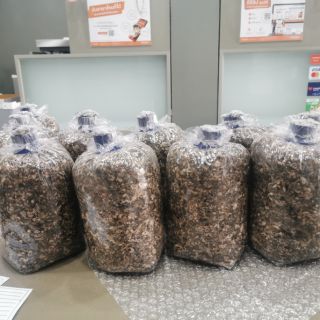 เห็ดฟาง​ แพ้ค5ก้อน​ เชื้อเห็ดฟาง​5ก้อน  ก้อนเห็ดฟาง​