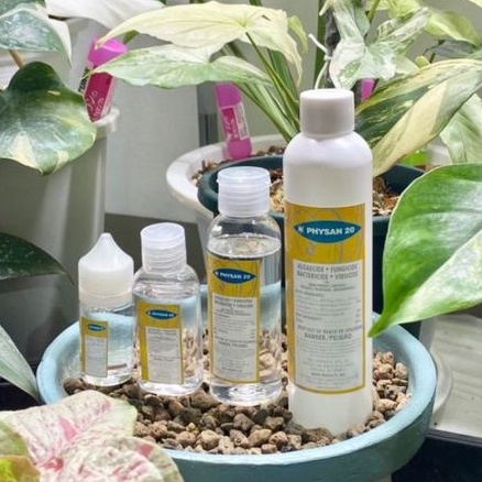 Physan20 (แบ่งจำหน่าย) พร้อมส่ง!ส่งด่วน หน้าฝนต้องมี ใช้กับไม้ด่างได้ น้ำยากำจัด เชื้อรา แบคทีเรีย ไวรัส ตะไคร่ ไฟซาน20