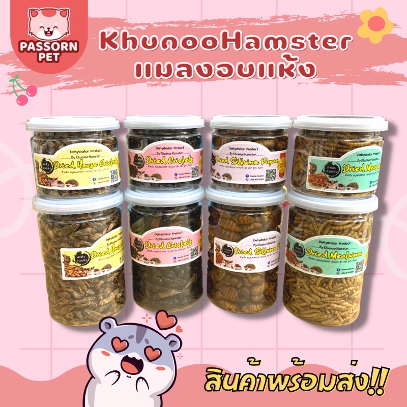 [Passorn.pet] Khunoo Hamster หนอนนกอบแห้ง จิ้งหรีดอบแห้ง หนอนไหมอบแห้ง สะดิ้งอบแห้ง