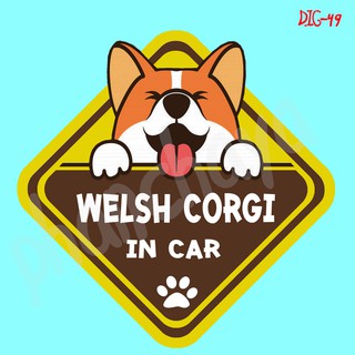 DIC49 สติ๊กเกอร์ ติดรถ Welsh Corgi Dog In Car สติ๊กเกอร์ติดรถ แต่งรถ car sticker