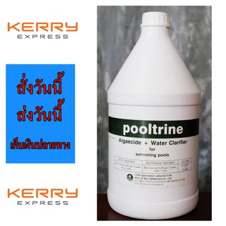 Pooltrine น้ำยากำจัดตะไคร่น้ำในสระว่ายน้ำ For Swimming Pool ราคาถูก ราคาส่ง