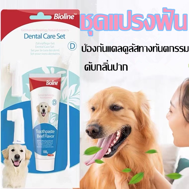 พร้อมส่ง ชุดแปรงสีฟันสัตว์เลี้ยง ยาสีฟันสุนัข แปรงฟันแมวของคุณ ยาสีฟันสำหรับสัตว์เลี้ยง ชุดแปรงฟัน