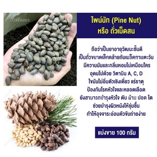 ไพน์นัท Pine Nut หรือ ถั่วเม็ดสน สำหรับนกแก้วขนาดกลาง - ใหญ่ และสัตว์ฟันแทะ (แบ่งขาย 50G / 100G)