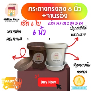 [6 ใบ] กระถางทรงทรงสูงพร้อมจานรอง 6 นิ้ว กระถางต้นไม้พลาสติก กระถาง 6 นิ้ว กระถางกระบองเพชร กระถางไม้กราฟ กระถางไม้โขด