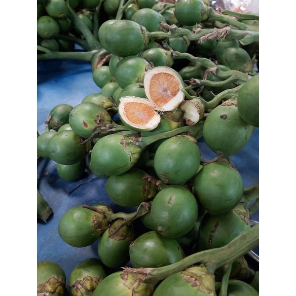 หมากสด💕 5ลูก20บาท คัดสวยๆค่ะ