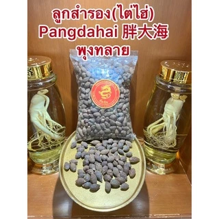 ลูกสำรอง (ไต่ไฮ่) Pangdahai 胖大海 พุงทลาย