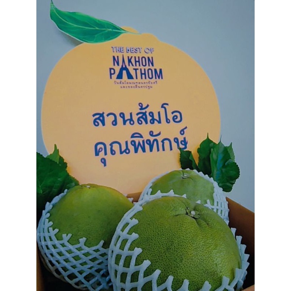 ส้มโอทองดี ไซท์จัมโบ้ นครชัยศรีเเท้  🍊🍀