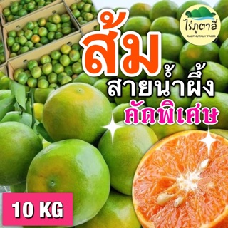 ส้มสายน้ำผึ้งแท้ คัดพิเศษ 10 KG [พรีเมี่ยม] ส่งตรงจากธรรมชาติ