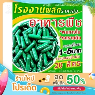 🌿💥แค็ปซูลเขียวนาโน239.-/100แค็ป💥🌱ฮอร์โมนพืชทางใบและดิน..🎉(โปรโมชั่นส่งด่วนรอ2-3วัน🔖💥(ราคาโรงงาน)💥🔖