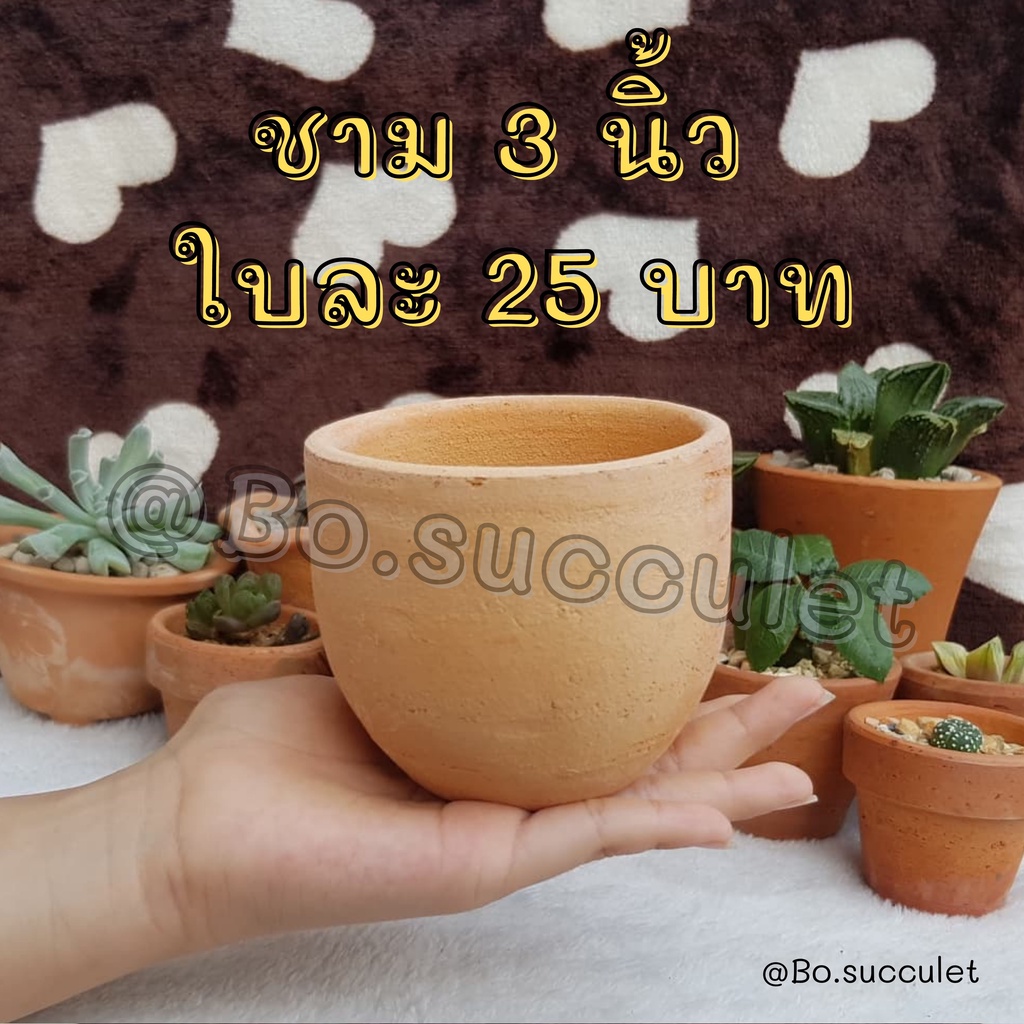 กระถางดินเผา ทรงชาม 3 นิ้ว ทรงไข่ ไม้อวบน้ำแคคตัส ปลูกฮาโวเทีย ใส่ต้นไม้จิ๋วเล็ก เครื่องปั้นดินเผา ของแต่งบ้าน จัดสวน