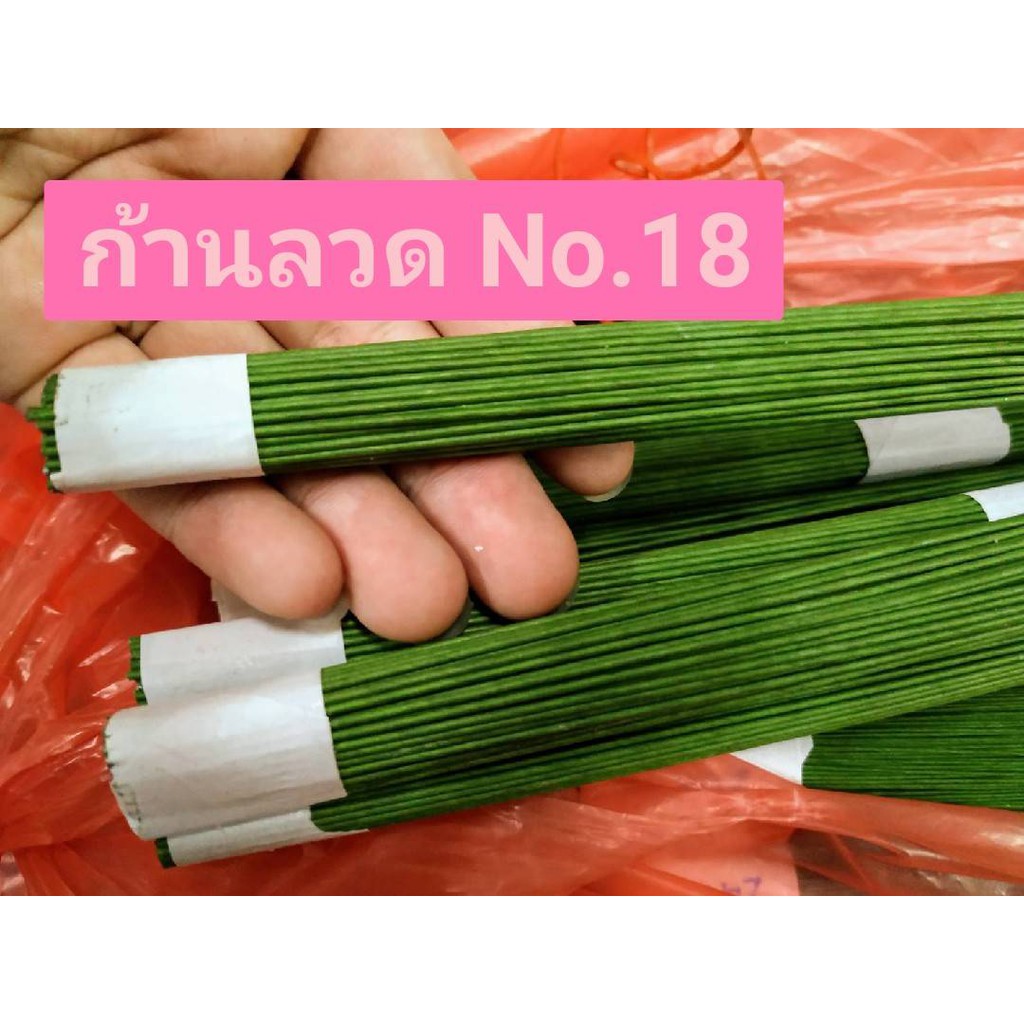 My Image 34