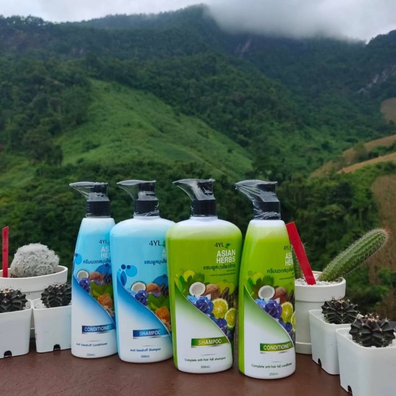 แชมพูต้มสมุนไพรไทย4YL