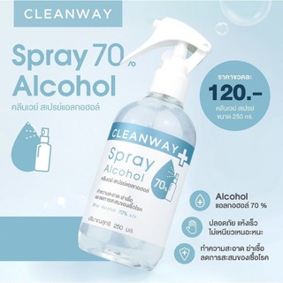 คลีนเวย์ สเปรย์แอลกอฮอล์ ทำความสะอาด อเนกประสงค์ CLEANWAY Spray Alcohol 250 ml