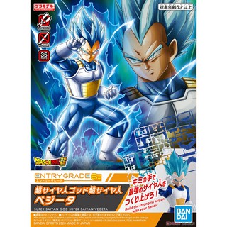 Entry Grade Super Saiyan God Super Saiyan Vegeta (Plastic model)