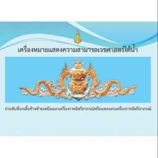 เครื่องหมายความสามารถเวชศาสตร์ใต้น้ำ