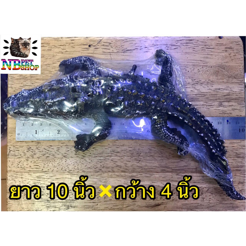 My Image 8