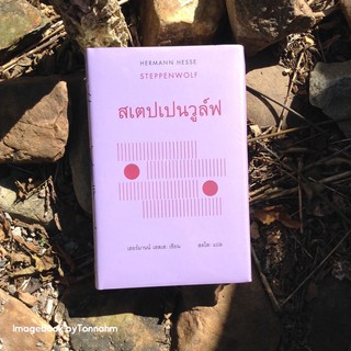 สเตปเปนวูล์ฟ (ปกแข็ง) แปลจากหนังสือ: Steppenwolf / ผู้เขียน: Hermann Hesse / สดใส แปล