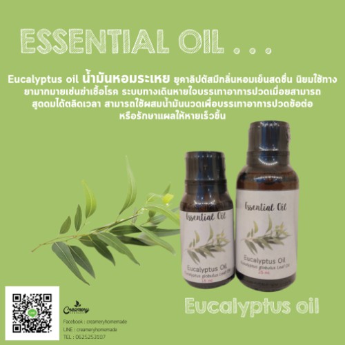 น้ำมันหอมระเหย กลิ่น ยูคาลิปตัส Eucalyptus oil Essential น้ำมันหอมระเหย 100%