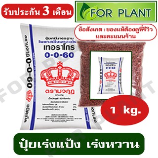 ปุ๋ย สูตร 0-0-60 ตรามงกุฎ บรรจุ 1 กิโลกรัม ปุ๋ยเร่งแป้ง เร่งหวาน ใส่ผัก ผลไม้ ไม้ดอกไม้ประดับ