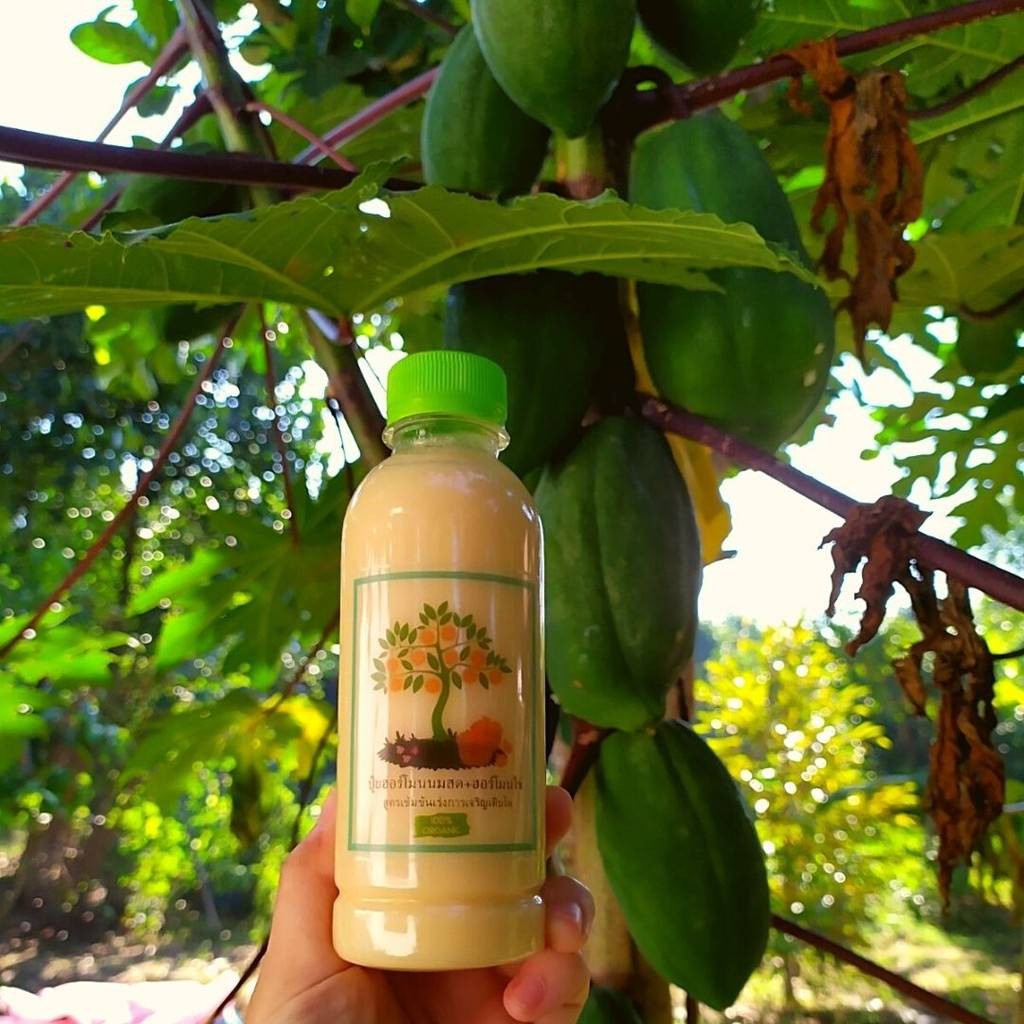 ฮอร์โมนไข่ ขนาด 200ml มีแคลเซียม ช่วยในการย่อยสลาย ช่วยเร่งกระตุ้นการออกดอกในพืชผลทุกชนิด ทำให้ผลใหญ่ มีรสชาติหวานกรอบ