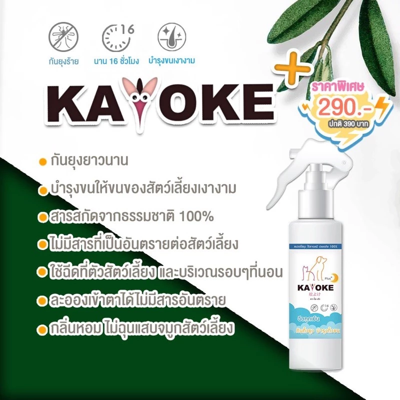 มีแลกซื้อ ราคาพิเศษ🔥 สเปรย์กันยุง + บำรุงขน สำหรับสัตว์เลี้ยง สูตรอ่อนโยน  สินค้าพร้อมส่ง thumbnail 9