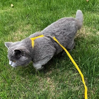 PEKO PET&CAT สายจูงสัตว์เลี้ยง แบบสองวรรค สำหรับสุนัข แมว กระต่าย สายจูงเชือกไนล่อน มีหลายสี