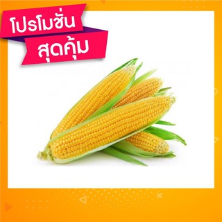 🇹🇭จัดโปร2แถม1✨เมล็ดพันธุ์ข้าวโพดหวาน