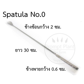ช้อนสแตนเลสตักสารเคมี Spatula