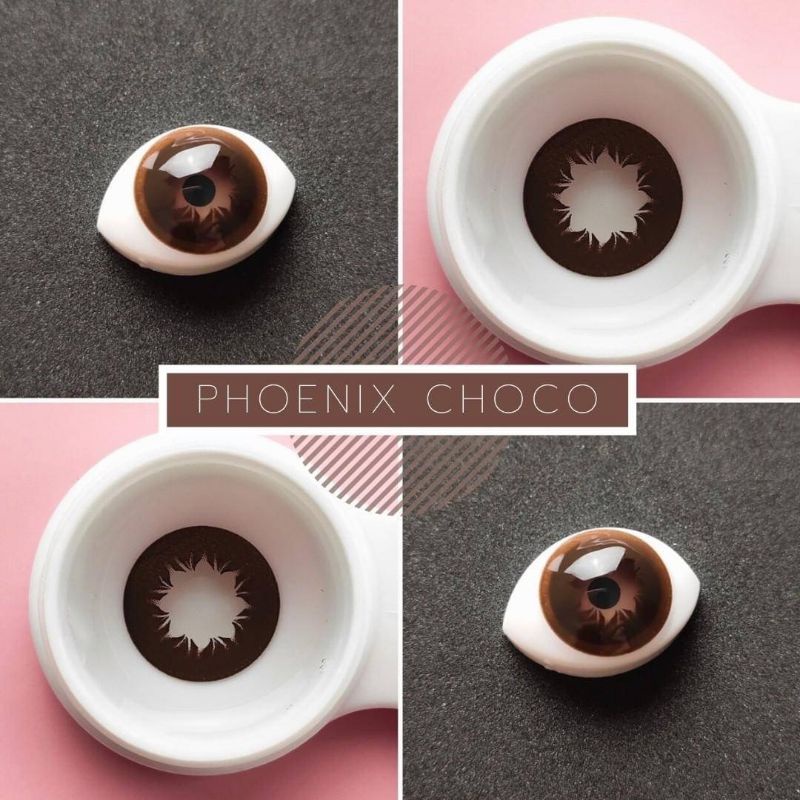 💜 Phoenix Choco Brown บิ๊กอาย สีช็อคโก้ สีน้ำตาล แบ๊ว ตาโต Dream Color1 Contact Lens Bigeyes
