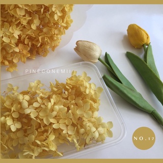 ดอกไฮเดรนเยียแห้งพรีเซิร์ฟ (Preserved) แบบกล่อง 350 ml.