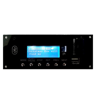 Decoder Board,Bluetooth MP3 Decoding Board ule Support FM Radio USB TF AUX Display Lyrics