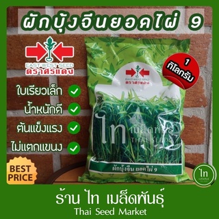 ผักบุ้ง ยอดไผ่ 9 เมล็ดผักบุ้ง เมล็ดพันธุ์ ผักบุ้งจีน ตรา ศรแดง บรรจุ 1 กิโลกรัม