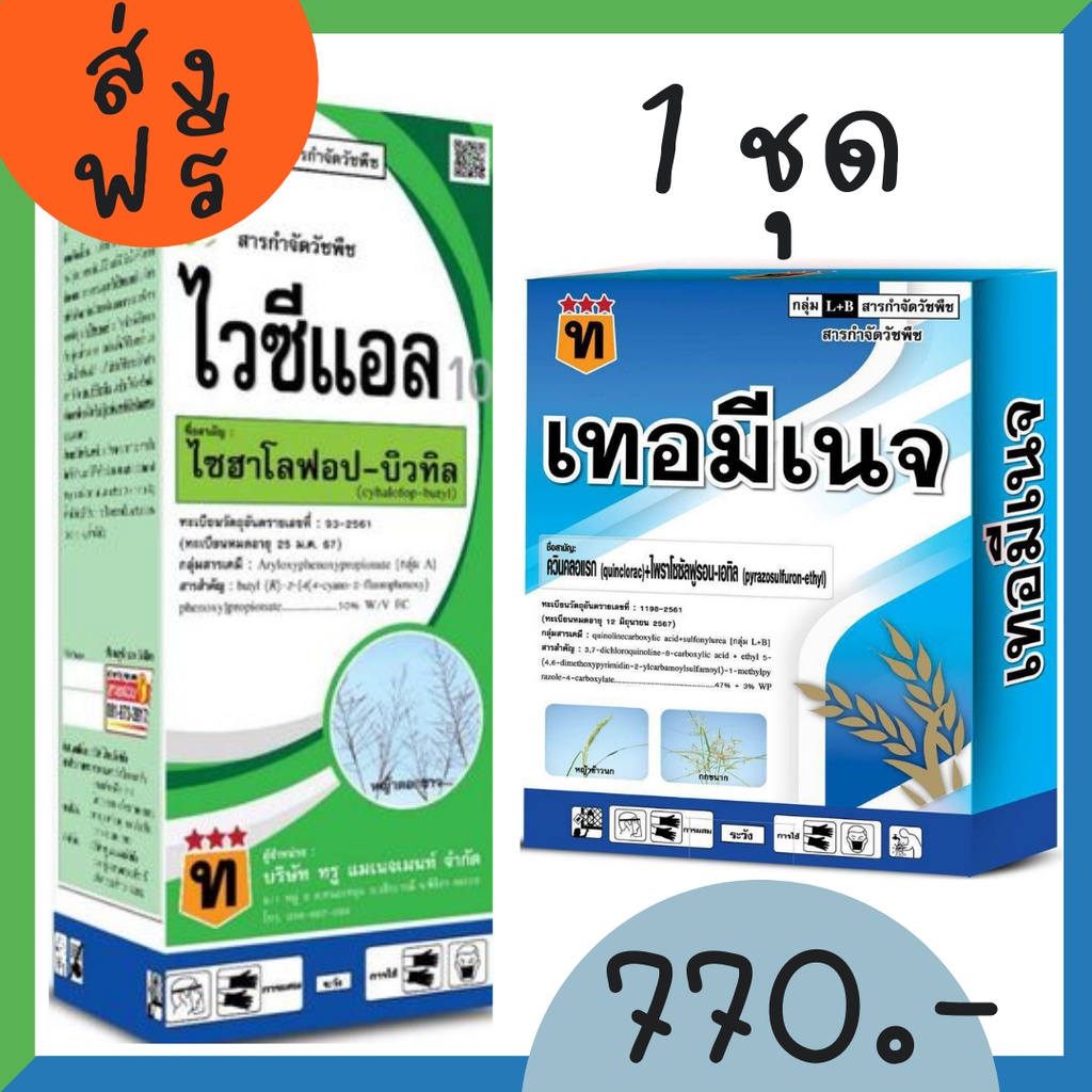 ไวซีแอล ซีแอล10 เทอมีเนจ 1ชุด