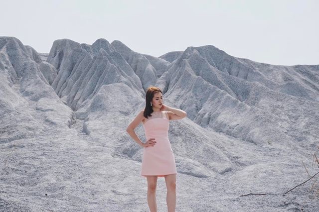 SOPHIA DRESS —TEA ROSE