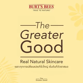 Burt's Bees Refreshing Lip Balm with Pink Grapefruit 4.25 g