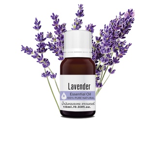 ลาเวนเดอร์ เอสเซ็นเชียล ออยล์ นํ้ามันหอมระเหย บริสุทธิ์ 100% ขนาด 10กรัม Lavender Essential Oil