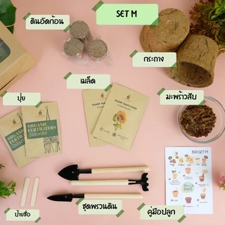 ชุดปลูกดอกไม้ ชุดของขวัญ ชุดพร้อมปลูกดอกทานตะวันแคระ