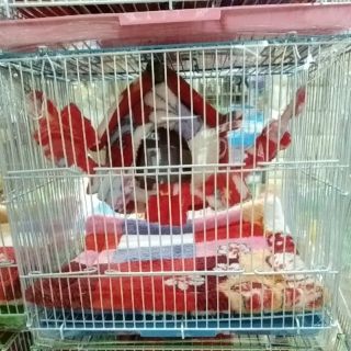 กรงสำหรับสัตว์อยู่อาศัย