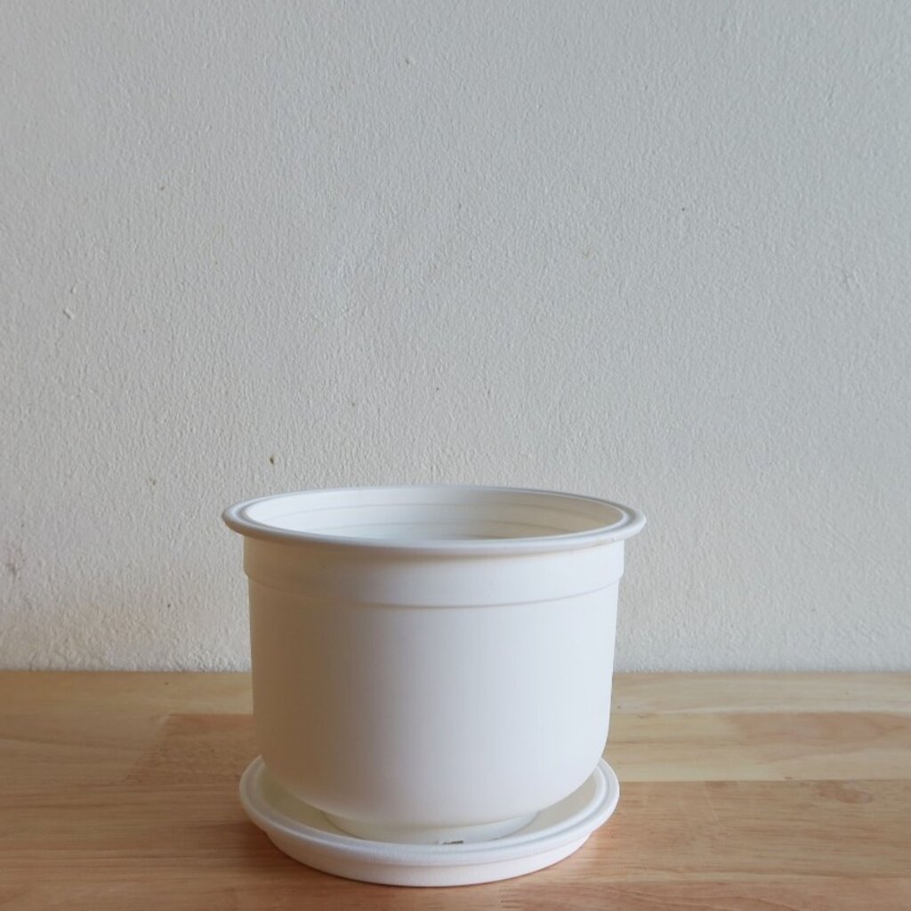 กระถางพลาสติกทรงกลมสีขาว พร้อมจานรอง ขนาด 4.5 นิ้ว