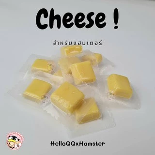 ชีส cheese ชีสขาว สำหรับแฮมเตอร์ เม่น กระรอก สุนัข และสัตว์เล็ก โปรตีนสูง