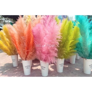 sale!! หนักมากแม่ พร้อมส่งจาก กทม ดอกไม้แห้ง สีทองก้านละ 25 สีเทาก้านละ 15 บาทดอกเลา หญ้าเลา pampus แพมพัสคุณภาพ A++