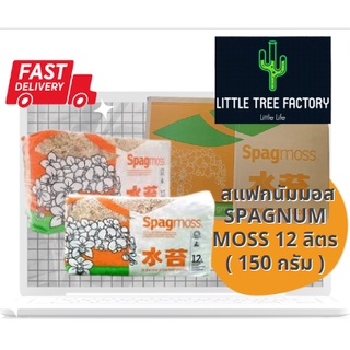 สแฟกนั่มมอส สแฟกนัมมอส นิวซีแลนด์ NZ วัสดุปลูก ล่อราก Spagmoss 12 L.(150 กรัม) spagnum Sphagnum Moss กล้วยไม้ ผสมดินปลูก